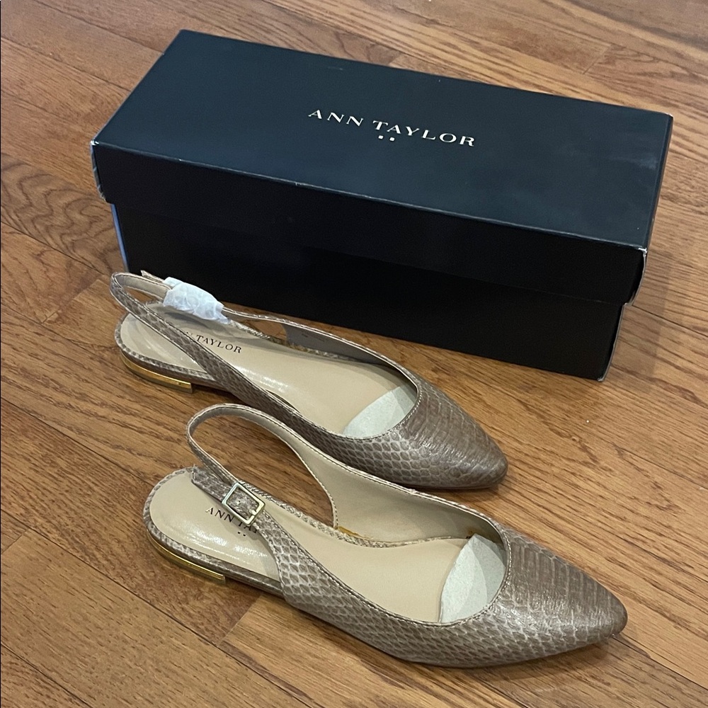 Ann Taylor Giana Slingback Flat